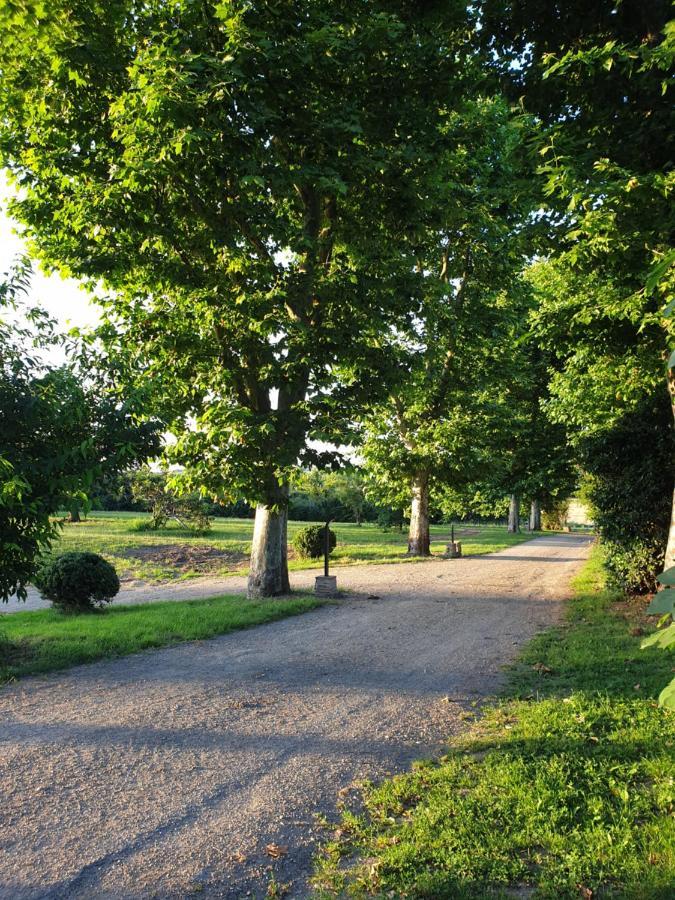 Domaine Des Jammetous - Hotel And Yoga Retreat Center La Magdelaine-Sur-Tarn Экстерьер фото